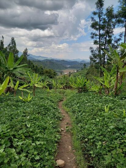 Durch Felder geht es runter zu einem Fluss. Oft hören wir die Geräusche der arbeitenden Farmer. Viele winken uns zu oder wir begrüßen einander. Aber ansonsten sind die Menschen hier eher etwas zurückhaltend.