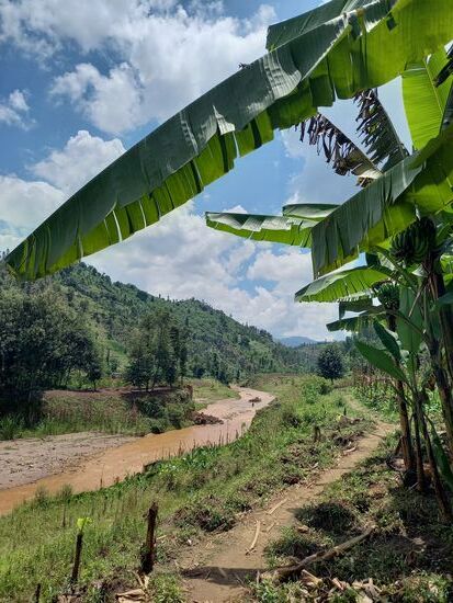 Wir nähern uns dem Fluss und uns dämmert,  warum uns der Mann voraus geht.