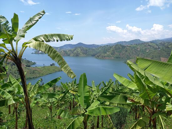 Atemberaubend schön