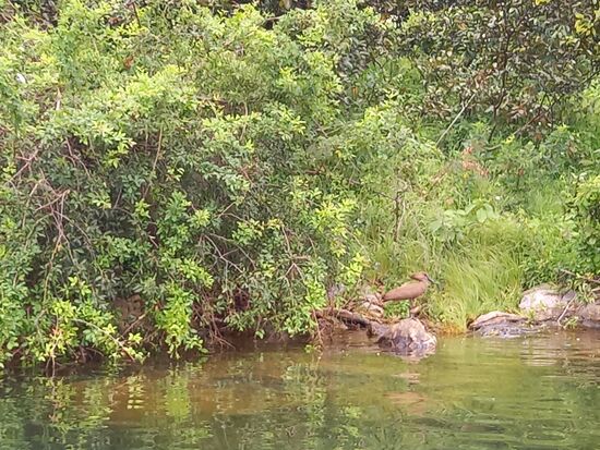 Auf dem Stein sehen wir einen Hammerkopf.