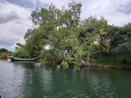 Unser letztes Ziel ist die Friedensinsel. Wir machen einen Spaziergang um die Insel.