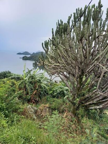 Von unserer Lodge blicken wir nochmal runter auf den See.