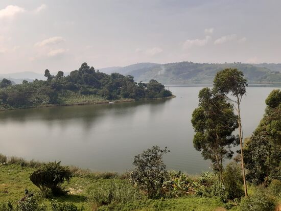 Wunderschöne Aussichten