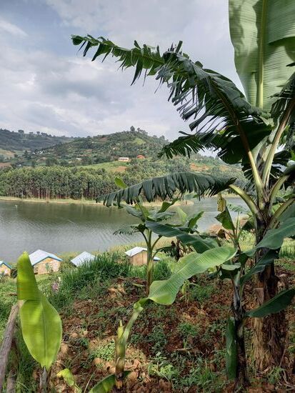 Wir machen wieder einen Spaziergang.  Auf dem Hügel gegenüber sehen wir die Kirche.