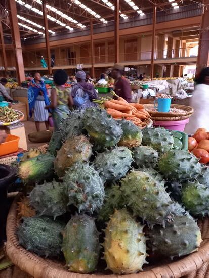 Dieses Gemüse? erweckt unser Interesse. Wir wissen aber nicht was es ist.