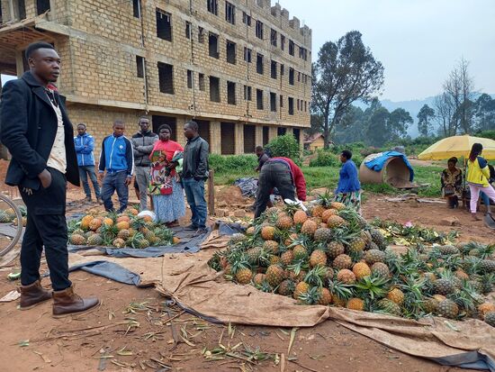 Ananas ist hier absolut köstlich. Darum kaufen wir vier.