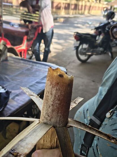 Zum verkaufen wird die harte äußere Bambusschicht mit einem scharfen Messer  entfernt und der Käufer kann die dünne verbleibende Bambusschicht wie eine Banane abschälen und den sticky Rice als Snack aus der Hand essen