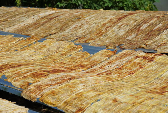 Getrocknet wird in großen Mengen in der Sonne und sie sind dann für etwa 3 Monate haltbar