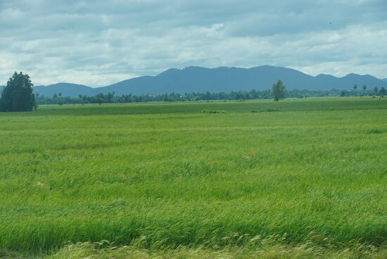 Die Karstberge begleiten uns im Hintergrund ein ganzes Stück