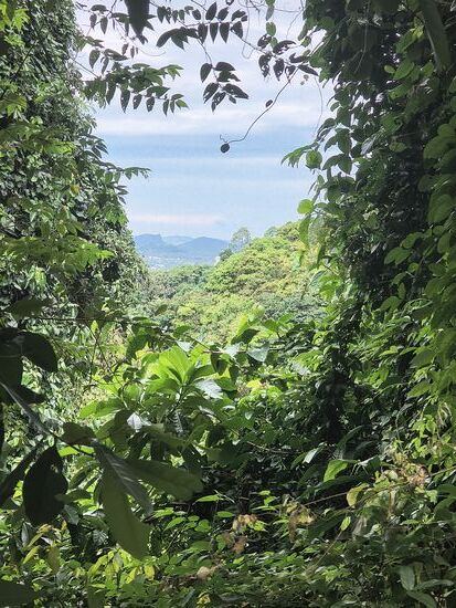 Immer wieder mal sind schöne weite Aussichten möglich