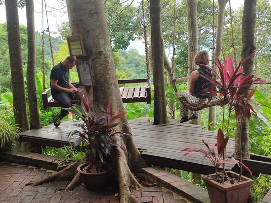 Und alle mögliche andere Schaukeln