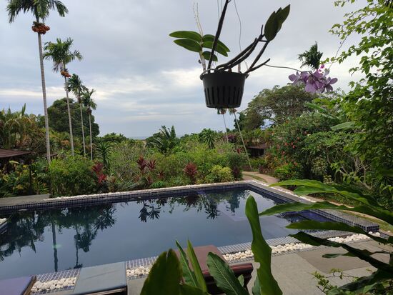 Die Bungalows verschwinden in dem tollen großen Garten