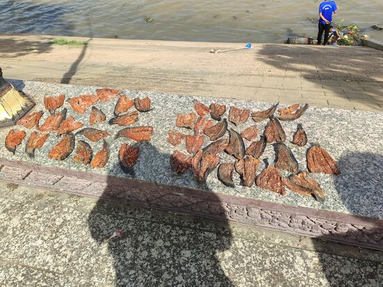 Fische werden direkt an der Promenadenmauer mit Chili verfeinert getrocknet