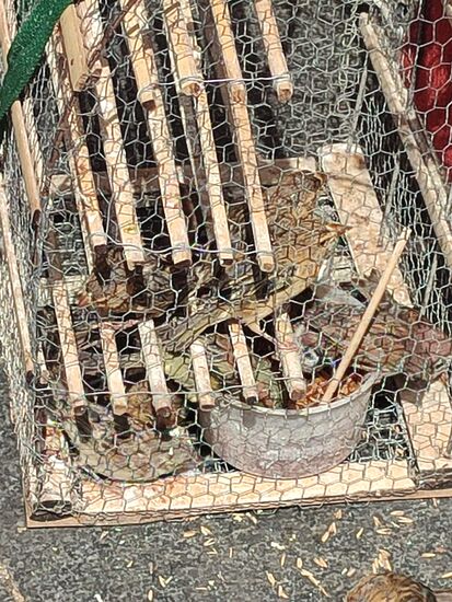 In der Nähe von kleinen Gebetsstätten am Fluß sieht man immer wieder Käfige überfüllt mit Spatzen. Sie werden von Gläubigen gekauft und freigelassen für gutes Karma, vielleicht wäre das Karma noch besser wenn sie erst gar nicht gefangen würden 