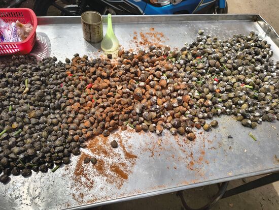 unterschiedliche gewürzte Muscheln