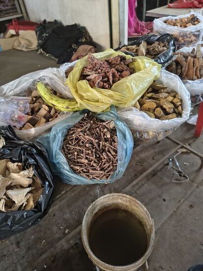 alle möglichen Rinden als Würz- oder Heilmittel