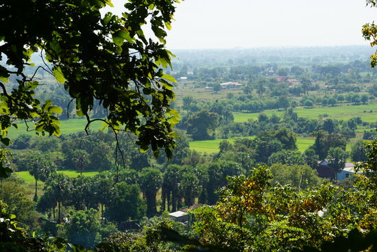 Von oben eröffnen sich schöne Ausblicke auf Reisfelder und den Mekong