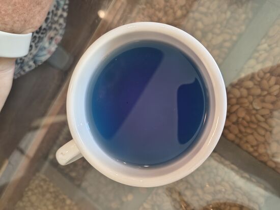 Himmelblauer Schlumpftee von der Schmetterlingserbsenblüte, er soll sehr gesund sein mit seinen vielen Antioxidantien und so schmeckt er auch. Sehr erdig und holzig aber wenns hilft. Mit Zitronensaft wird er rosa