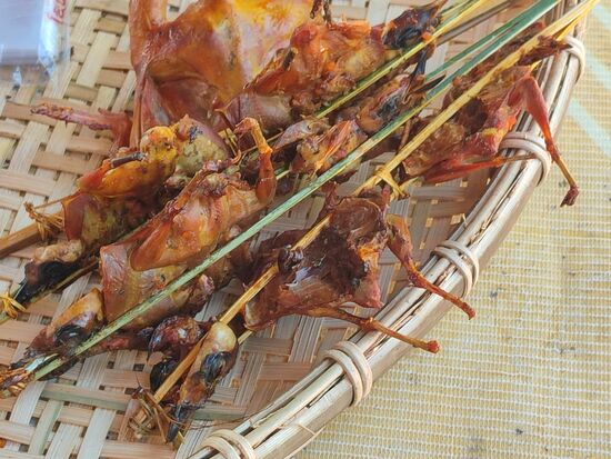 Gegrillte kleine Vögel als Snack