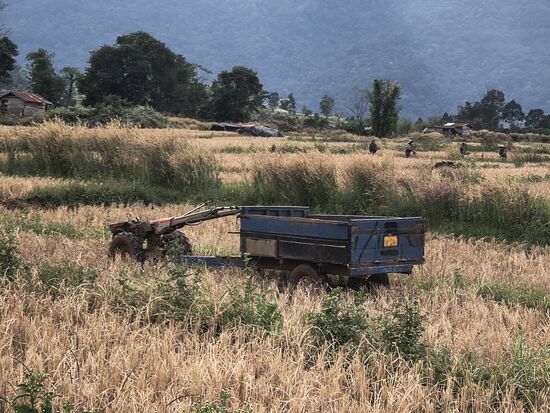 Abtransportiert wird er dann auf Minitraktoren
