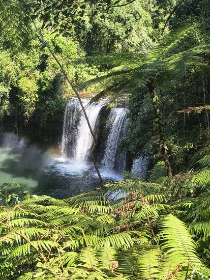 Er ist eingebettet in intakten Bergregenwald mit wunderschönen Baumfarnen