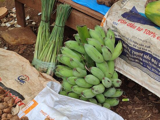 Von Zitronengras bis Kohl gibt es hier alles was gerade Saison hat