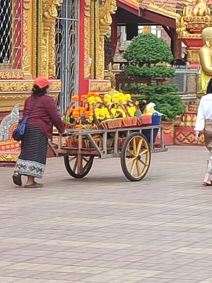 Wenn der Altarraum zu voll wird kommen Frauen mit  Handwagen und transportieren die Spenden ab. Blumen werden im Kloster wieder verkauft und was mit den anderen Sachen passiert weiß man nicht so genau. Die Gläubigen sammeln gute Karmapunkte beim Spenden und das reicht ihnen
