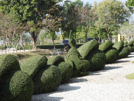 Wir haben noch nie so akurat geschnittene Hecken gesehen.