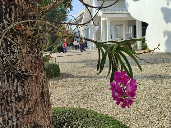 Die letzten Blüten, man merkt hier doch dass alles etwas später dran ist