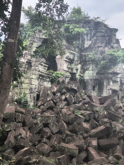 Überwachsen mit Sträuchern und eingefallenen Mauern