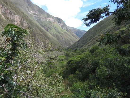 Das Tal des Rio Tingo ist schmal und wunderschön