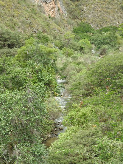 Die meiste Zeit plätschert er aber gemütlich durch die grüne Landschaft