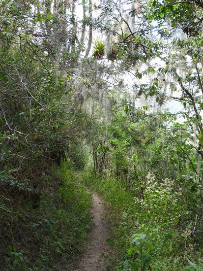 und ist durch die Vegetation  auch sehr romantisch