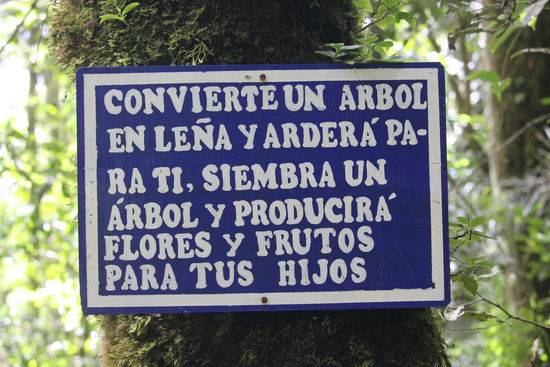 Sehr frei übersetzt mahnt das Schild am Pfadeingang "Ein Baum der verbrannt wird ist weg aber ein Baum der ausgesät  wird bringt Blumen und Früchte noch für die Kinder"
