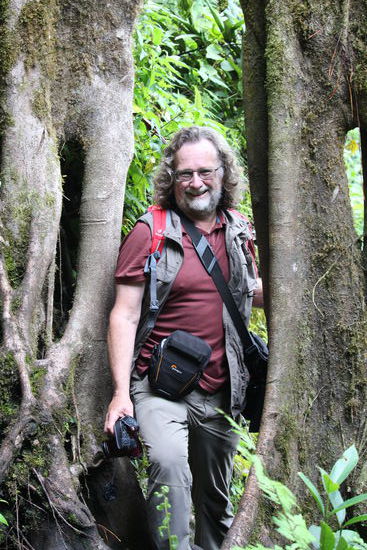 Manchmal geht's auch durch die Luftwurzeln eines Baumes weiter