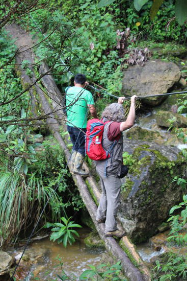 Oder balancierend über 2 Baumstämme und nur mit Halteseil oben