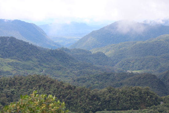 Die Fahrt nach Moyobamba ging fast 3 Std. durch dichten Bergregenwald, nur ganz selten sind an der Straße einige Häuser. Unser Minibusfahrer hält für uns an einem  Aussichtspunkt, ganz klein noch sieht man den Rio Mayo unser Ziel für die nächste Woche.