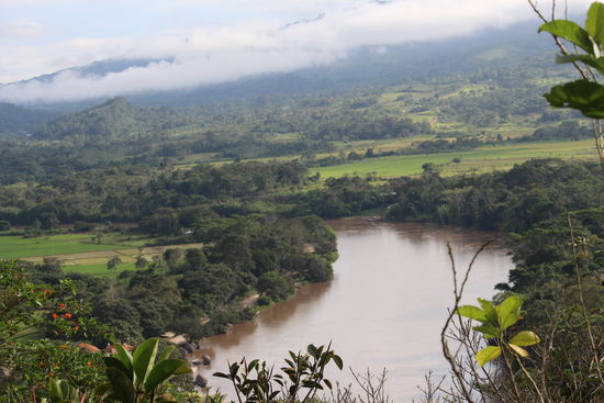 Der Rio Mayo vom Hotelgarten aus