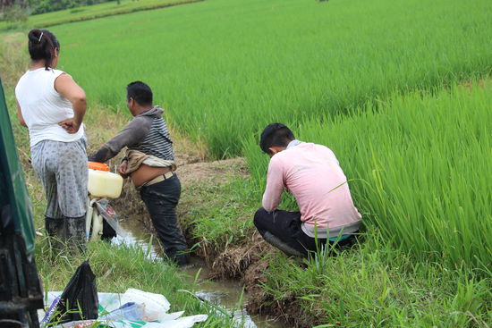 Auf jedem 2. Feld egal was da wächst sieht man Bauern mit ihren Giftspritzen, Monsanto und Bayer lassen grüßen. Die Bauern tragen  auch nie Schutzkleidung und nur ganz selten sieht man mal wenigstens einen Mundschutz