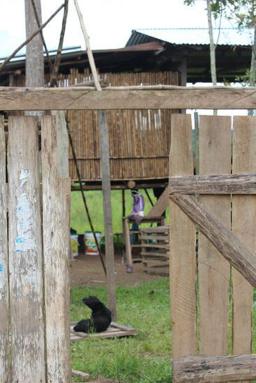 Die Häuser am Fluss werden zum Schutz in der Regenzeit auf Stelzen gebaut