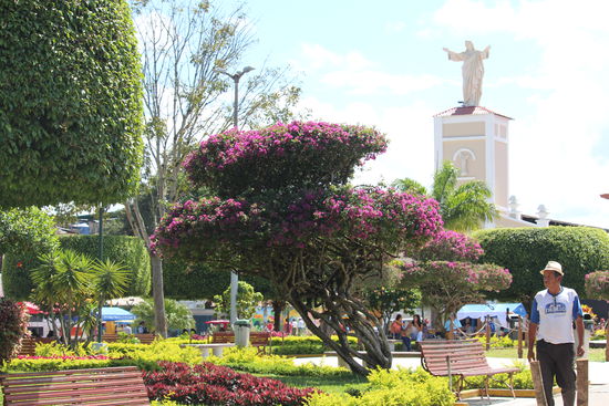 Die Plaza und der Park, wie immer ausgestattet mit vielen Bänken, Bäumen und Blumen