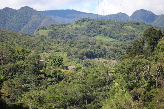 Im Schutzgebiet ist nur die Bewirtschaftung von kleinen Flächen durch  wenige Indios erlaubt, die bereits hier lebten als es unter Schutz gestellt wurde