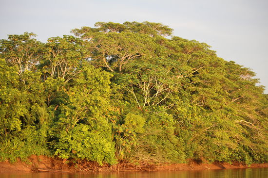 Dichte Vegetation fast über die ganze Strecke nur unterbrochen durch kleine Dörfer mit ein paar Feldern.