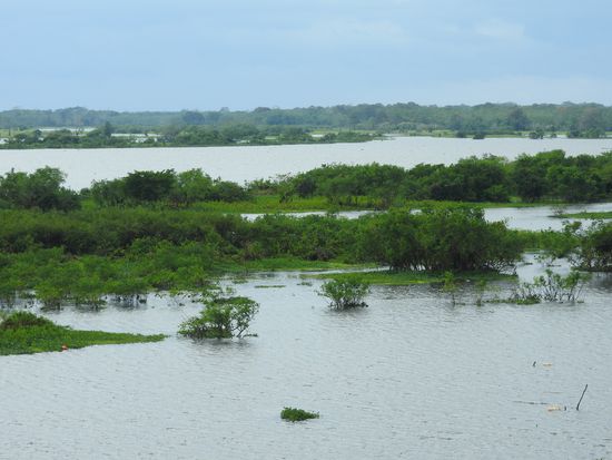 Der Rio Itaya, in der Regenzeit steigt er massiv an, jetzt in der Trockenzeit wird er täglich schmäler und gibt immer mehr Schwemmland frei.