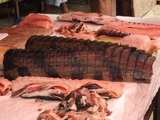 Kaimanfleisch und Fische werden viel angeboten. Teilweise stinkt es so dass man schnell weitergeht.