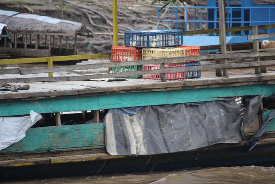 Die Hühner  werden an Deck zusammengepfercht und die Menschen eine Etage darunter