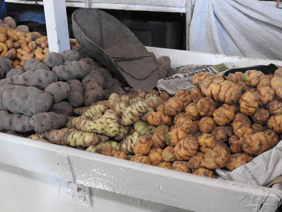 Auf den Markt gibt es auch ganze Straßen mit Kartoffelsorten die man bei uns nie zu sehen bekommt. Links große lila Knollen, mittig trapezförmige und bei den rechten können wir uns nicht vorstellen wie man die mit ihren tiefen Falten schälen soll.