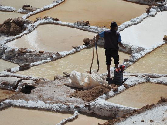 Hier wird das "Fleur de Sel" die erste feine Salzblüte auf dem Wasser geerntet. Dieses Salz ist das wertvollste und kann nur in kleinen Mengen abgenommen werden.