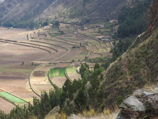 Auch im Tal gibt es Inkaterassen, schön geschwungen angelegt und teilweise auch heute noch bewirtschaftet.