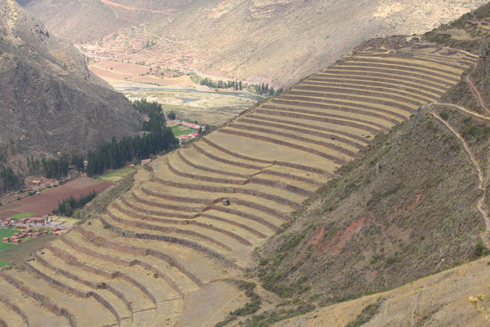 Etwa 7.000  Terassen  ziehen sich  den ganzen Berg hoch, oft wünscht man sich man könnte sie bepflanzt sehen.